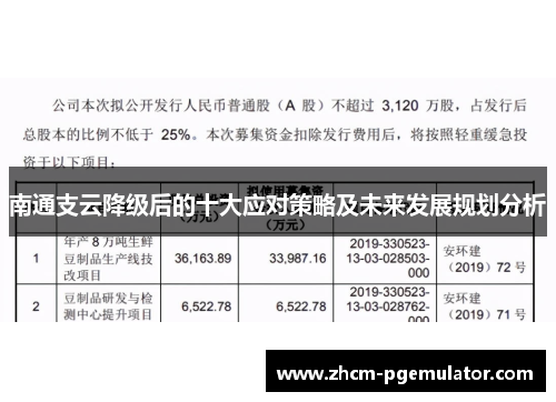 南通支云降级后的十大应对策略及未来发展规划分析 南通支云降级后的十大应对策略及未来发展规划分析