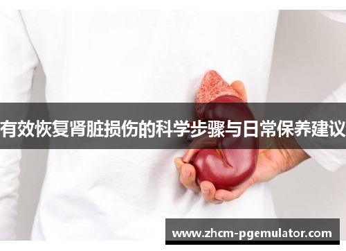 有效恢复肾脏损伤的科学步骤与日常保养建议