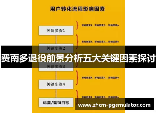 费南多退役前景分析五大关键因素探讨