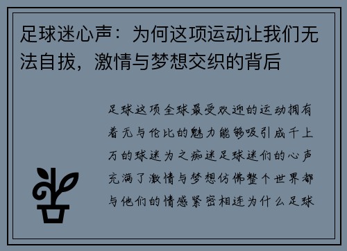 足球迷心声：为何这项运动让我们无法自拔，激情与梦想交织的背后