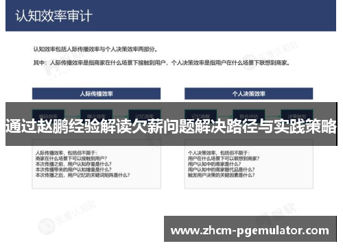 通过赵鹏经验解读欠薪问题解决路径与实践策略