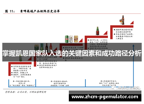 掌握凯恩国家队入选的关键因素和成功路径分析