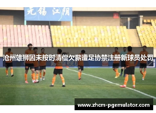 沧州雄狮因未按时清偿欠薪遭足协禁注册新球员处罚 沧州雄狮因未按时清偿欠薪遭足协禁注册新球员处罚