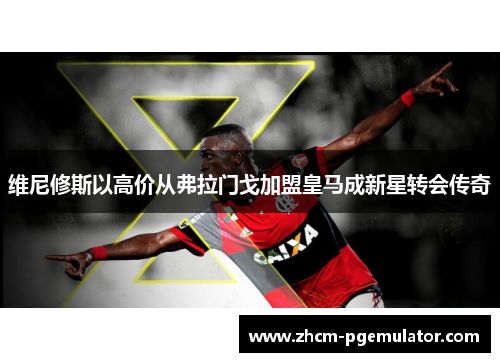 维尼修斯以高价从弗拉门戈加盟皇马成新星转会传奇