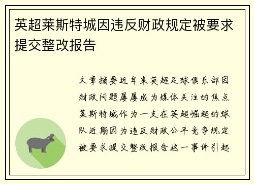 英超莱斯特城因违反财政规定被要求提交整改报告
